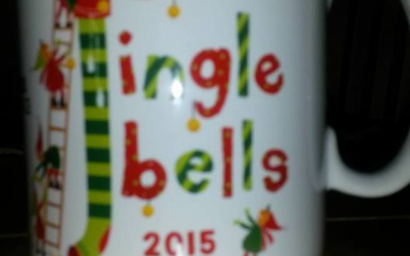 Fit4Youth and Fit4Life at Jingle Bells 5K, Saturday 5th December 2015