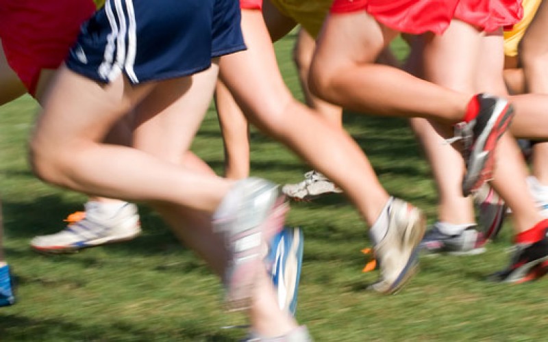 Cross Country Training this Saturday for Juvenile & Fit4Youth competitive groups