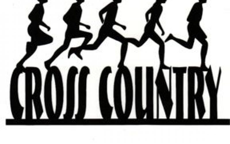 Meath Cross country relays