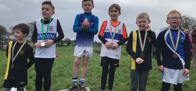 Meath Community Games Cross Country 2017