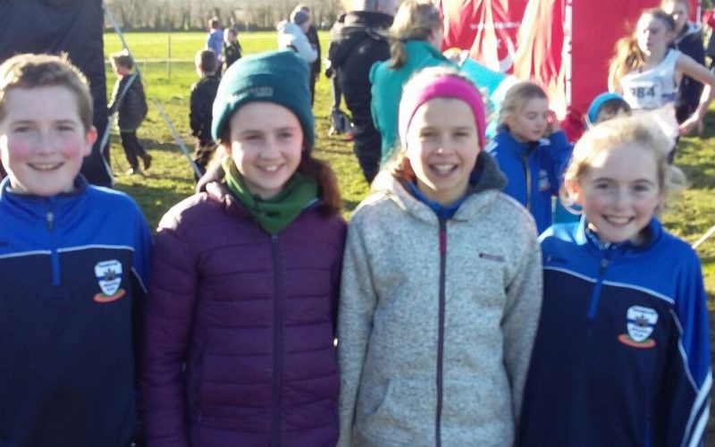 Leinster Uneven Ages Cross Country Adamstown Co Wexford