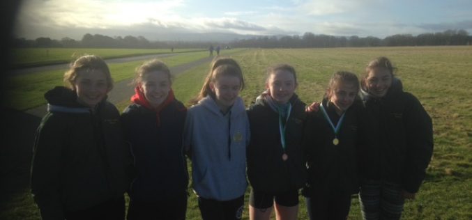 2018 West Leinster Secondary Schools Cross Country