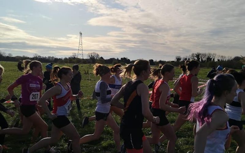 All Ireland National Juvenile Uneven Ages and Novice Cross Country Finals at Dunboyne AC (Cowpark) – Sunday December 15th !